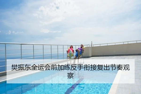 樊振东全运会前加练反手衔接复出节奏观察